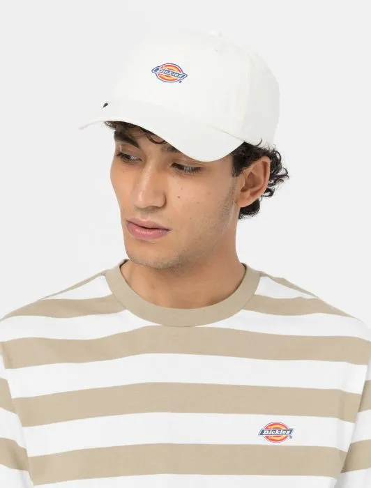 DICKIES - Hardwick Baseball Cap - CLOUD