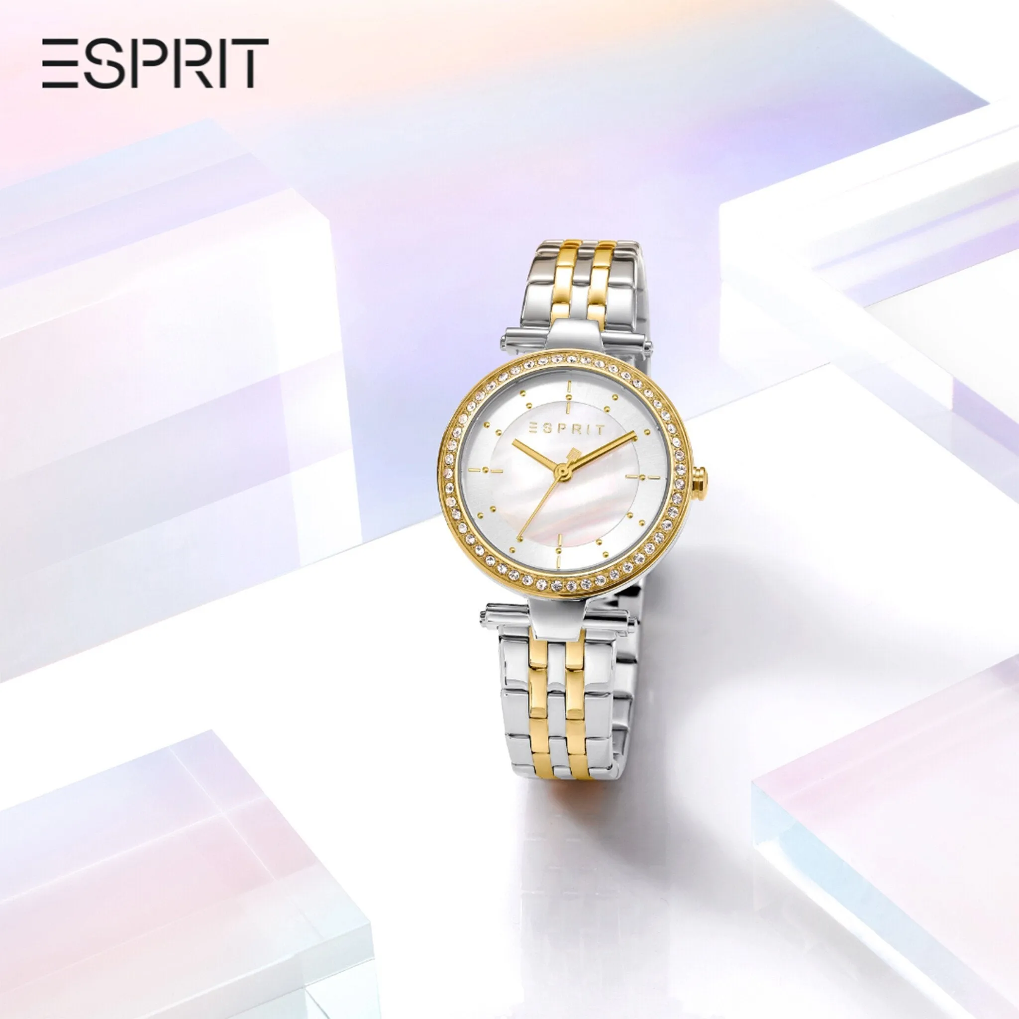 Esprit Stainless Steel Analog Women's Watch ES1L153M2055