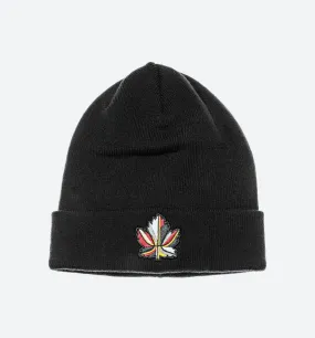 Qt Asg Cuffed Beanie - Black